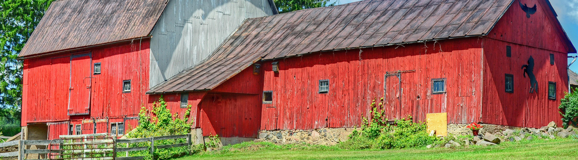 Letters from a Conservative Farmer: Versed in Country Things, Part 3 — Disturbing Revelations